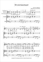 Notenblatt „Wir sind bescheuert”